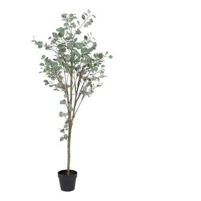 Eukaliptusz műnövény (magasság 180 cm) Eucalyptus – Ixia