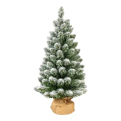 Műfenyő Snowy Fir – Dakls