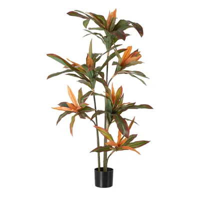 Műnövény (magasság 140 cm) Dracena – Ixia