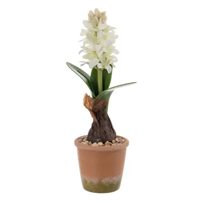 Műnövény (magasság 29 cm) Hyacinth – Ixia