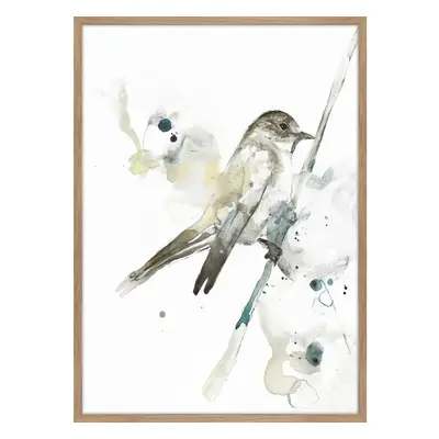 Keretezett poszter 50x70 cm Bird 2 – Malerifabrikken