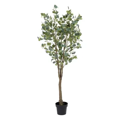 Eukaliptusz műnövény (magasság 173 cm) Eucalyptus – Ixia