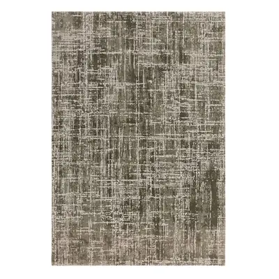 Khaki szőnyeg 240x340 cm Kuza – Asiatic Carpets