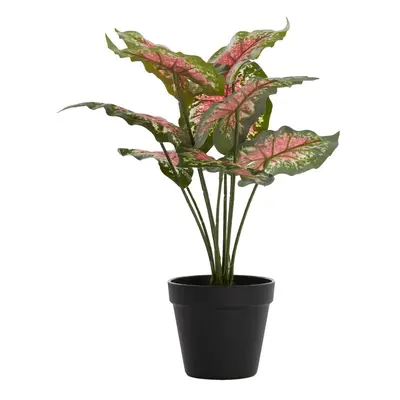 Műnövény (magasság 40 cm) Caladium – Light & Living