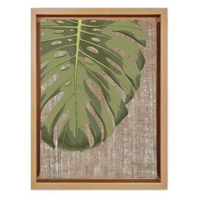 Kép 36x46 cm Monstera – Wallity