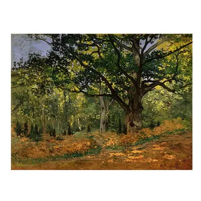 Claude Monet - The Bodmer Oak, Fontainebleau Forest kép másolat, 70 x 50 cm