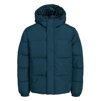 JACK & JONES Téli dzseki 'JJEBRADLEY' benzin