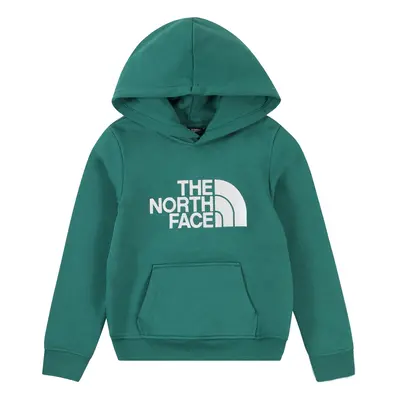 THE NORTH FACE Sport szabadidős felsők 'Drew Peak' zöld / fehér