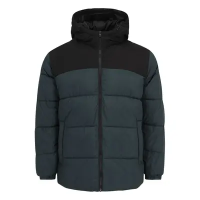 Jack & Jones Plus Téli dzseki fenyő / fekete