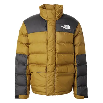 THE NORTH FACE Téli dzseki 'M LIMBARA INSULATED' zöld