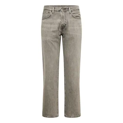 LEVI'S ® Farmer '551 Z AUTHENTIC' szürke