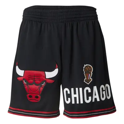 Mitchell & Ness Nadrág 'NBA Team Bulls' barna / piros / fekete / fehér